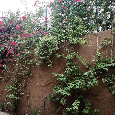 Casa Das Buganvilias Praia Ngoại thất bức ảnh