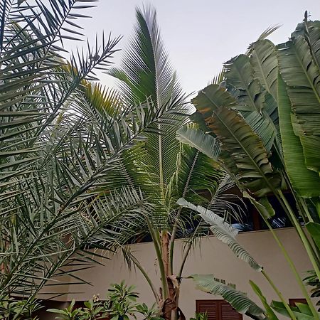 Casa Das Buganvilias Praia Ngoại thất bức ảnh