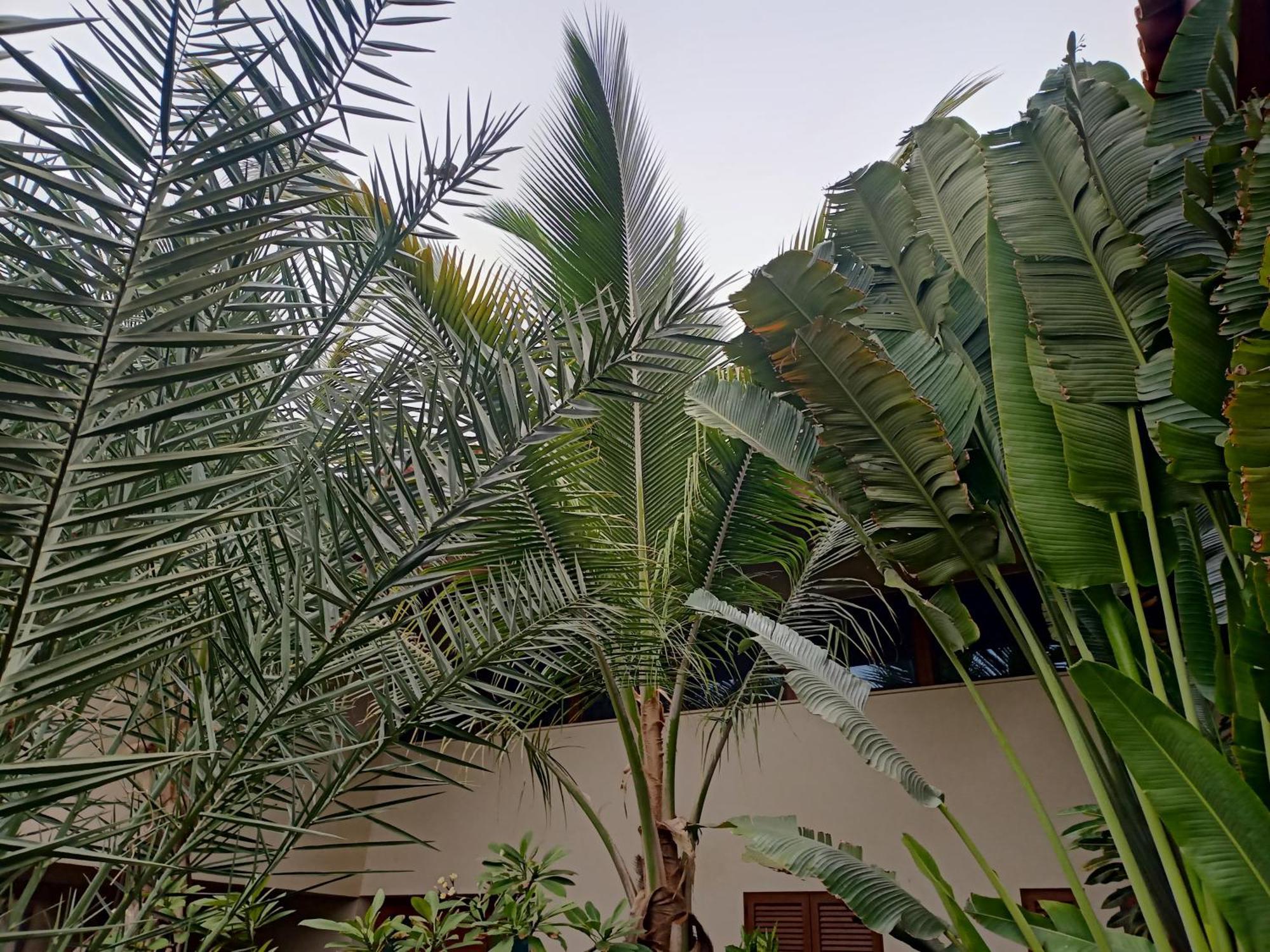 Casa Das Buganvilias Praia Ngoại thất bức ảnh