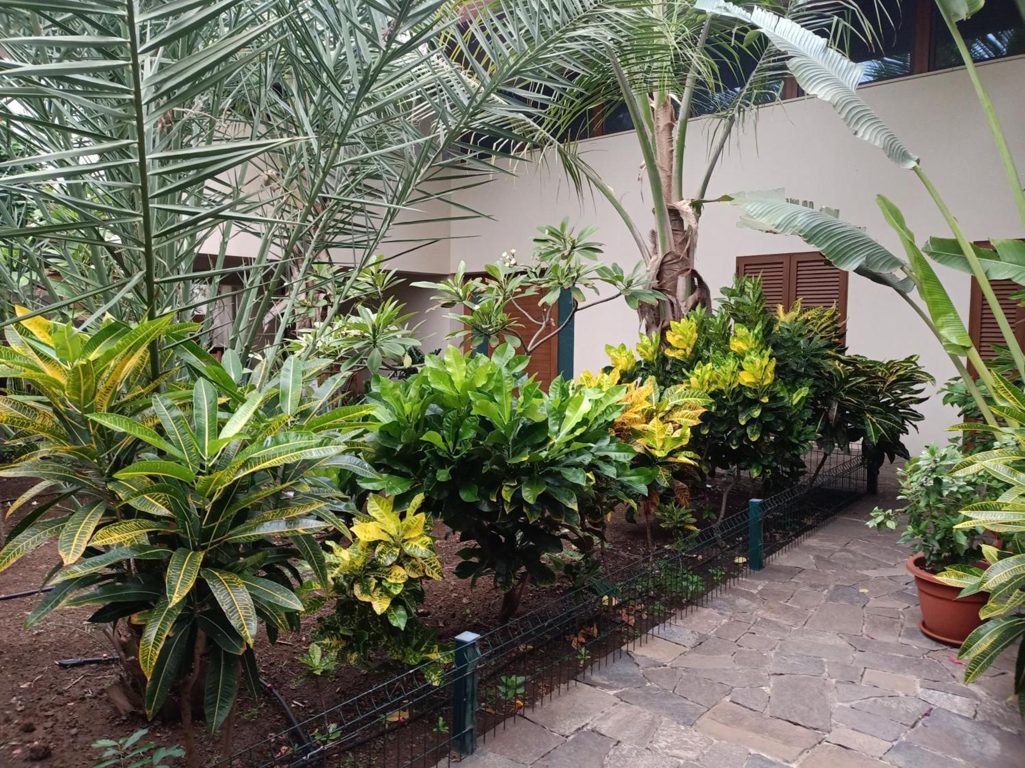 Casa Das Buganvilias Praia Ngoại thất bức ảnh